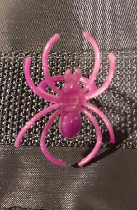 Photo of free Adjustable spider ring Halloween? (Gledhow LS8) #1