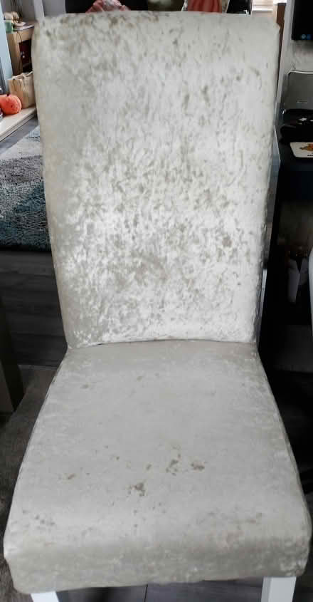 Photo of free Dining Chairs (GU12) #1