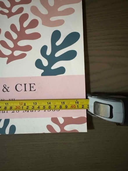 Photo of free Matisse art print (SE13) #4