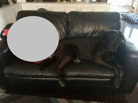 Photo of free Black leather loveseat (Farmington Hills) #1