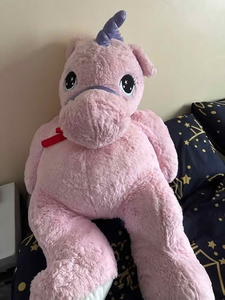Photo of free Large unicorn teddy (Hook KT6) #1