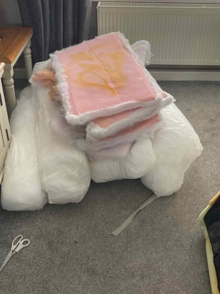 Photo of free Bolster padding (NG5) #1