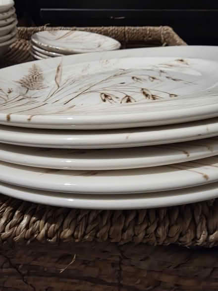 Photo of free Dinner set (Canning town E16) #3