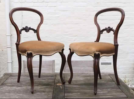 Photo of free Two walnut dining chairs (Lower Wick WR2) #1