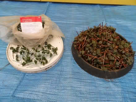 Photo of free Last call for Onduline fixings (Benson OX10) #1