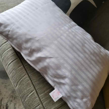 Photo of free New pillow (Oaklands nr Welwyn AL6) #2