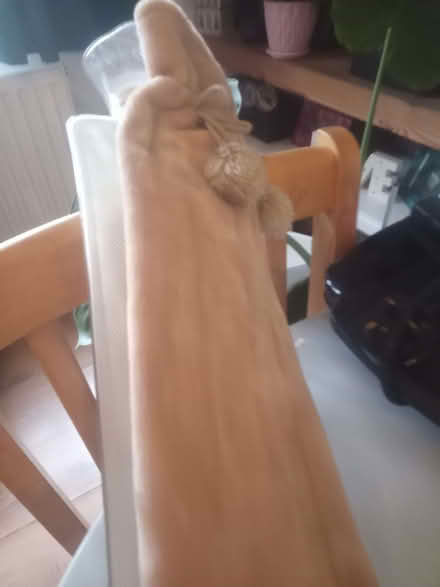 Photo of free Hot water bottle (Chalfont St Giles HP8) #2