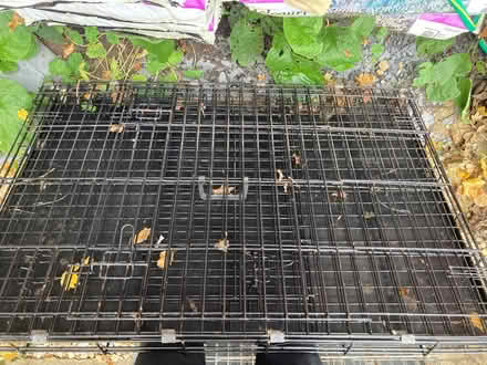 Photo of free XL dog crate (Walton Manor OX2) #1