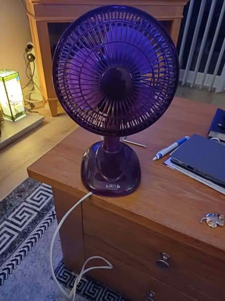 Photo of free Small fan (Hollybush NP44) #1
