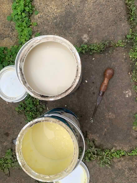 Photo of free Dulux 5 litre white/ cream paint (Oldfield Park) #2