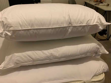 Photo of free 2 pillows bought 25.10.25 (Upton CH49) #1