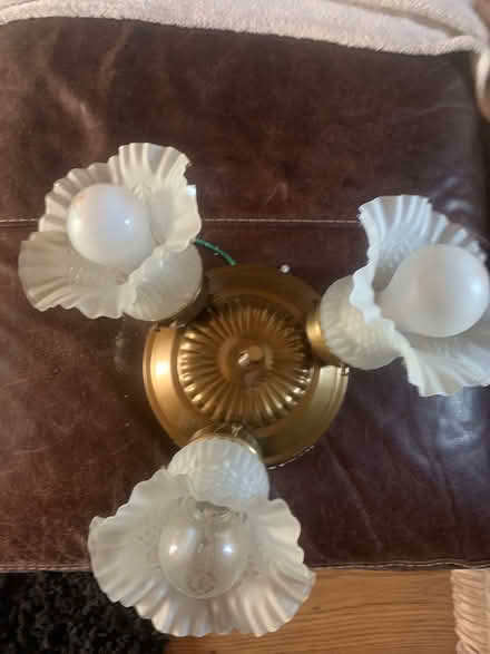 Photo of free Ceiling lights x2 (Gleadless S14) #1