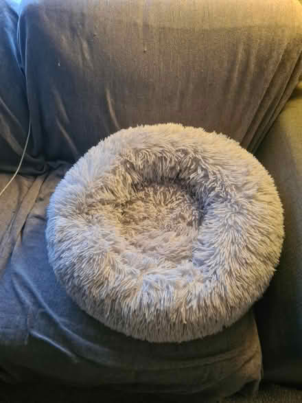 Photo of free Fluffy donut bed for small dog (Winchmore Hill HP7) #1