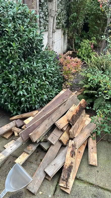 Photo of free wood (Great Wyrley WS6) #2