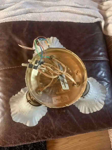 Photo of free Ceiling lights x2 (Gleadless S14) #2