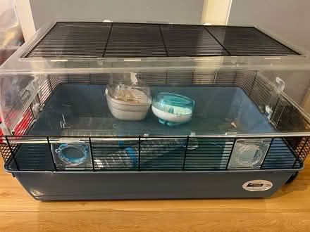 Photo of free Two level hamster cage (Enfield N21) #1