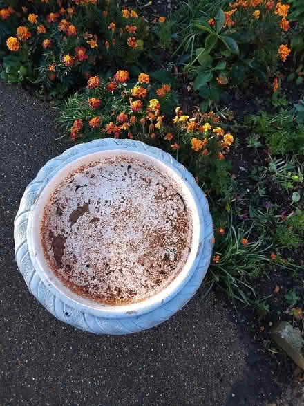Photo of free Bird bath (Little Baddow CM3) #2