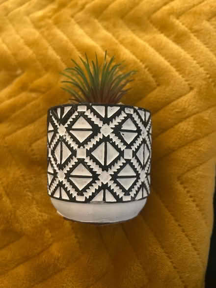 Photo of free Small fake plant (Park street st albans AL2) #2