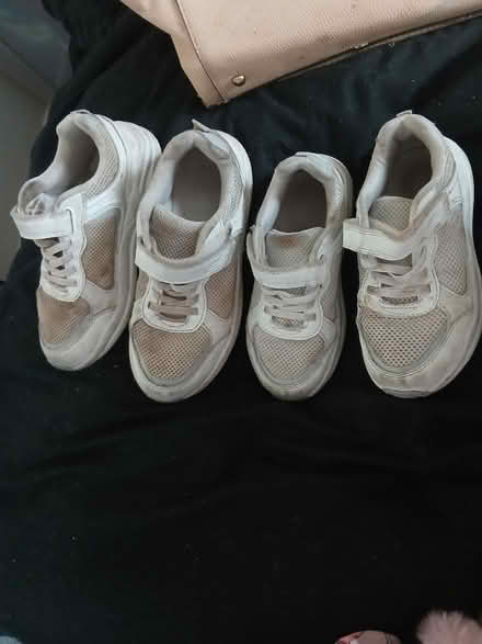 Photo of free Trainers (Canford Heath, BH17 8) #1