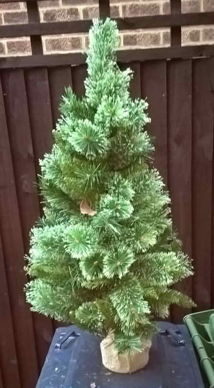 Photo of free Small Christmas tree (Hoddesdon EN11) #1
