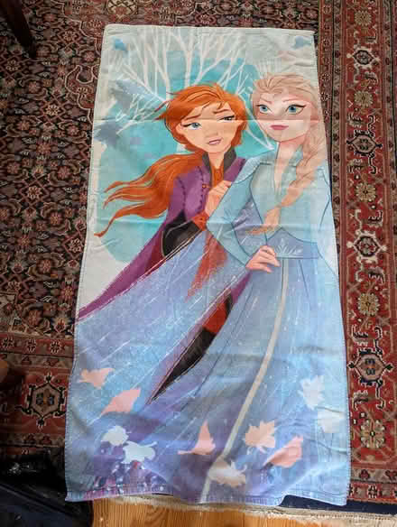 Photo of free " frozen" towel (Lakeview, close to Bayshore) #1