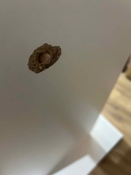 Photo of free Kitchen bar (Catshill Bromsgrove B61) #3