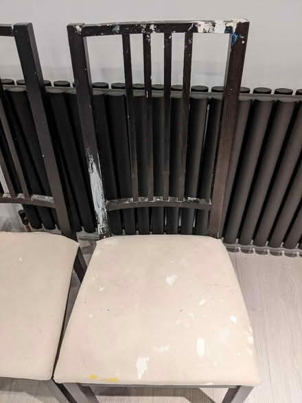 Photo of free Dining chairs (Colchester CO4) #2