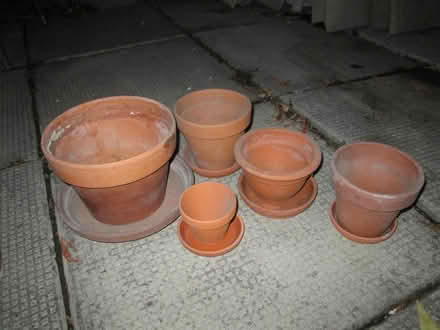Photo of free clay pots (Old Ottawa South) #1