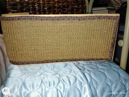 Photo of free Cat Scratcher (West Harlem) #3