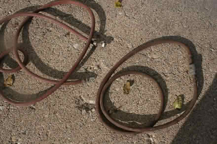 Photo of free 2 air hoses (Big Timber & Randall Rd, Elgin) #1