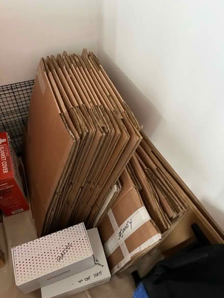 Photo of free Boxes and paper for moving (Hove) #1
