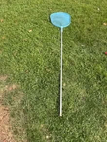 Photo of free Swimming pool skimmer (South West Campton Hills) #1
