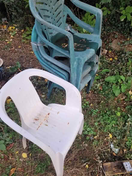 Photo of free Garden chairs (Selhurst CR0) #1