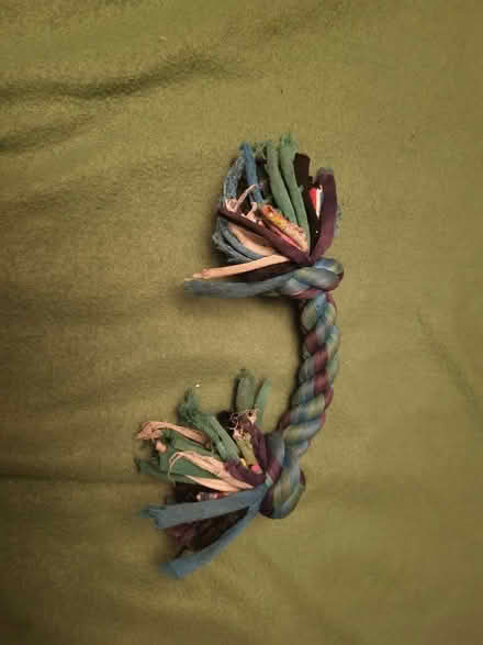 Photo of free Small dog tug toy (West Croydon CR0) #1