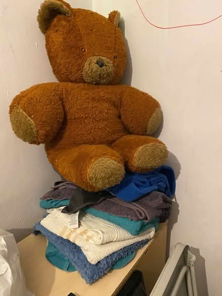 Photo of free Towels and bits for dogs (Southborough TN4) #1