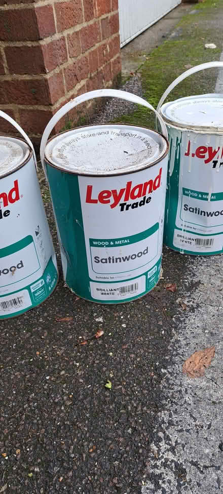 Photo of free White satin paint (St Leonards TN38) #2