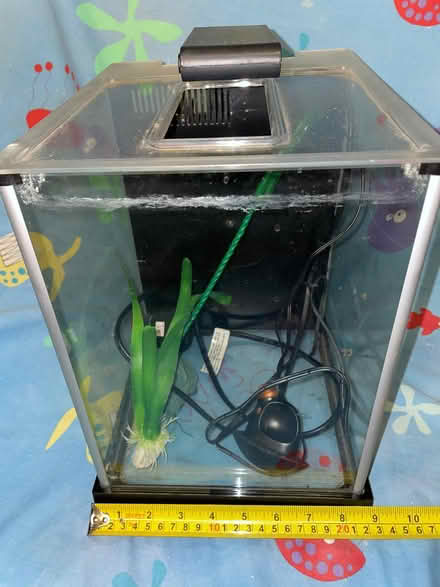 Photo of free 2 Fish Tanks (Wickford SS12) #4