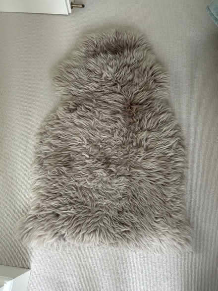 Photo of free Grey sheepskin rug (Wimbledon Village SW19) #1
