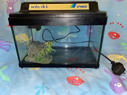 Photo of free 2 Fish Tanks (Wickford SS12) #3
