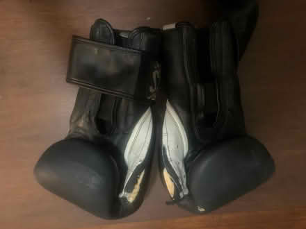 Photo of free Boxing gloves (Delaware & Davenport) #3