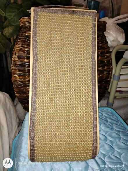 Photo of free Cat Scratcher (West Harlem) #1