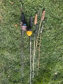 Photo of free fishing poles (South West Campton Hills) #1