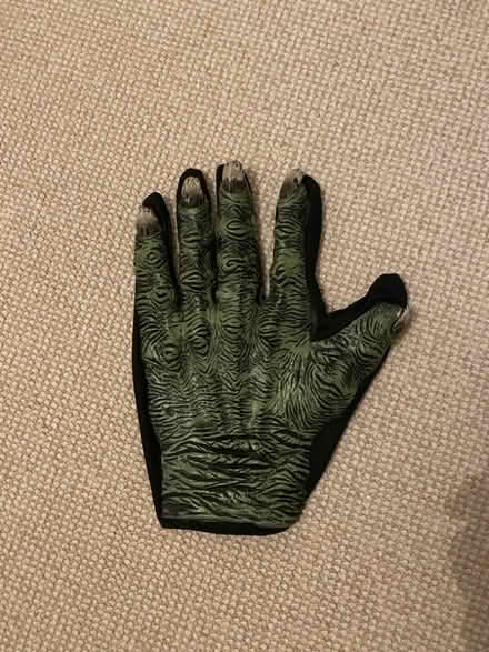 Photo of free Halloween monster glove (Whinfield DL1) #1