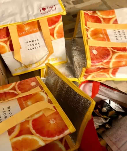 Photo of free 3 Nice Insulated Zip Food Bags NNJ (Englewood) #1