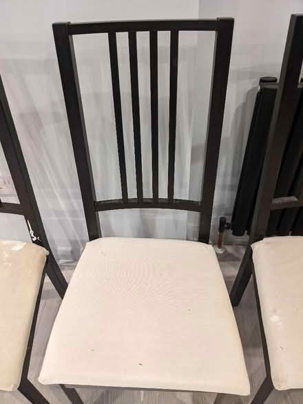 Photo of free Dining chairs (Colchester CO4) #3
