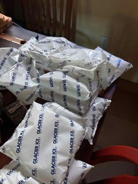 Photo of free 12 or more ice packs (Central and the river) #1