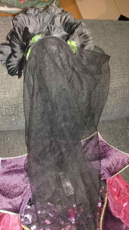 Photo of free Vampire dress with a veil headpiece (TW1, Strawberry Hill) #3