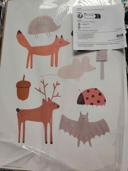 Photo of free Ikea picture (CR7) #1