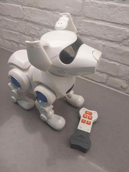 Photo of free Teksta: Electronic Dog Toy (Ealing Pitshanger W5) #1