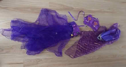 Photo of free Fancy dress belly dancer outfit (Ham, TW10) #2